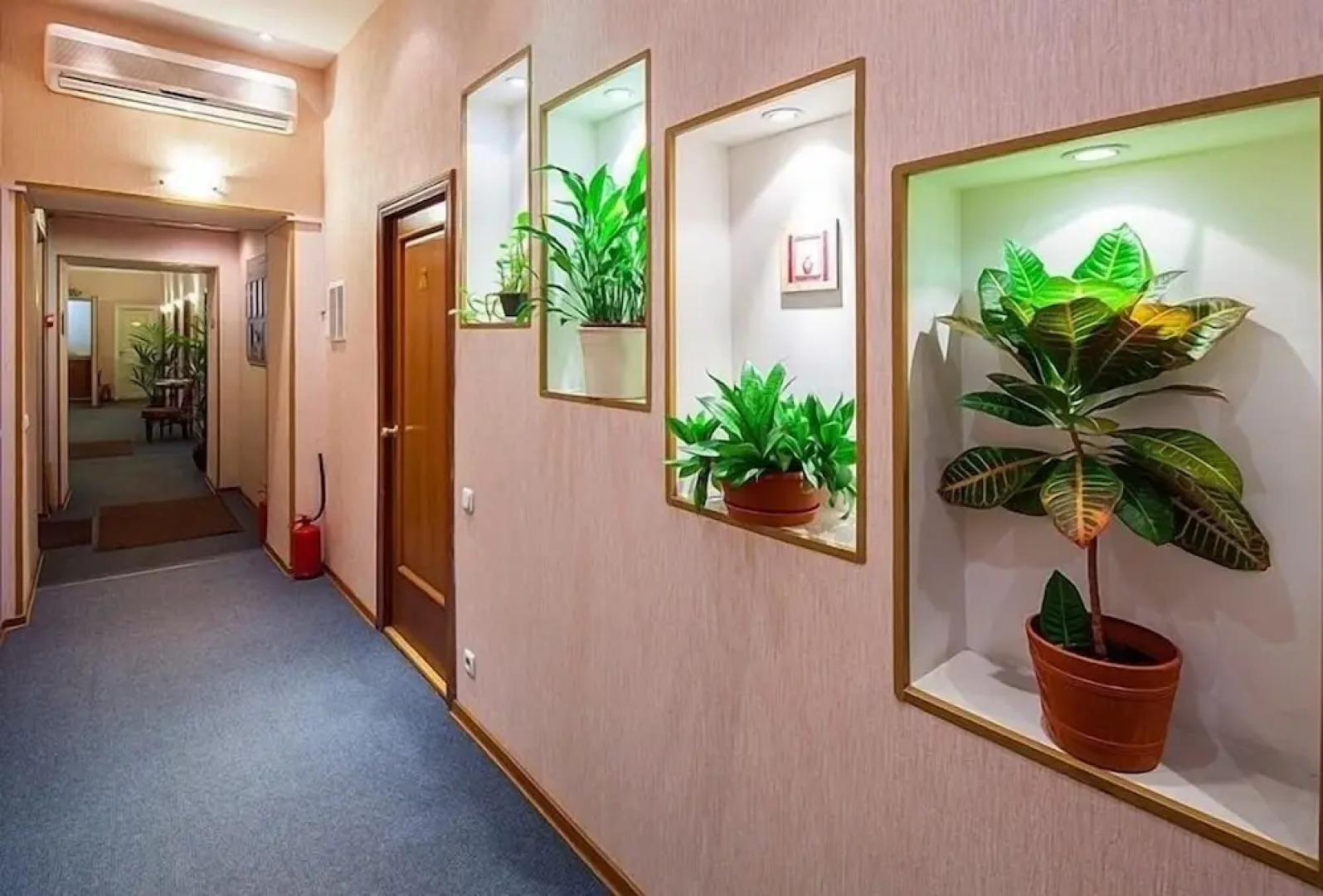 Невский Экспресс