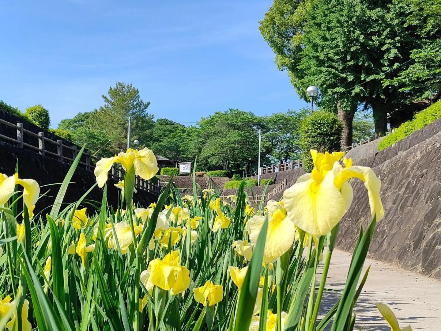 Tamana - House / Vacation STAY 62460