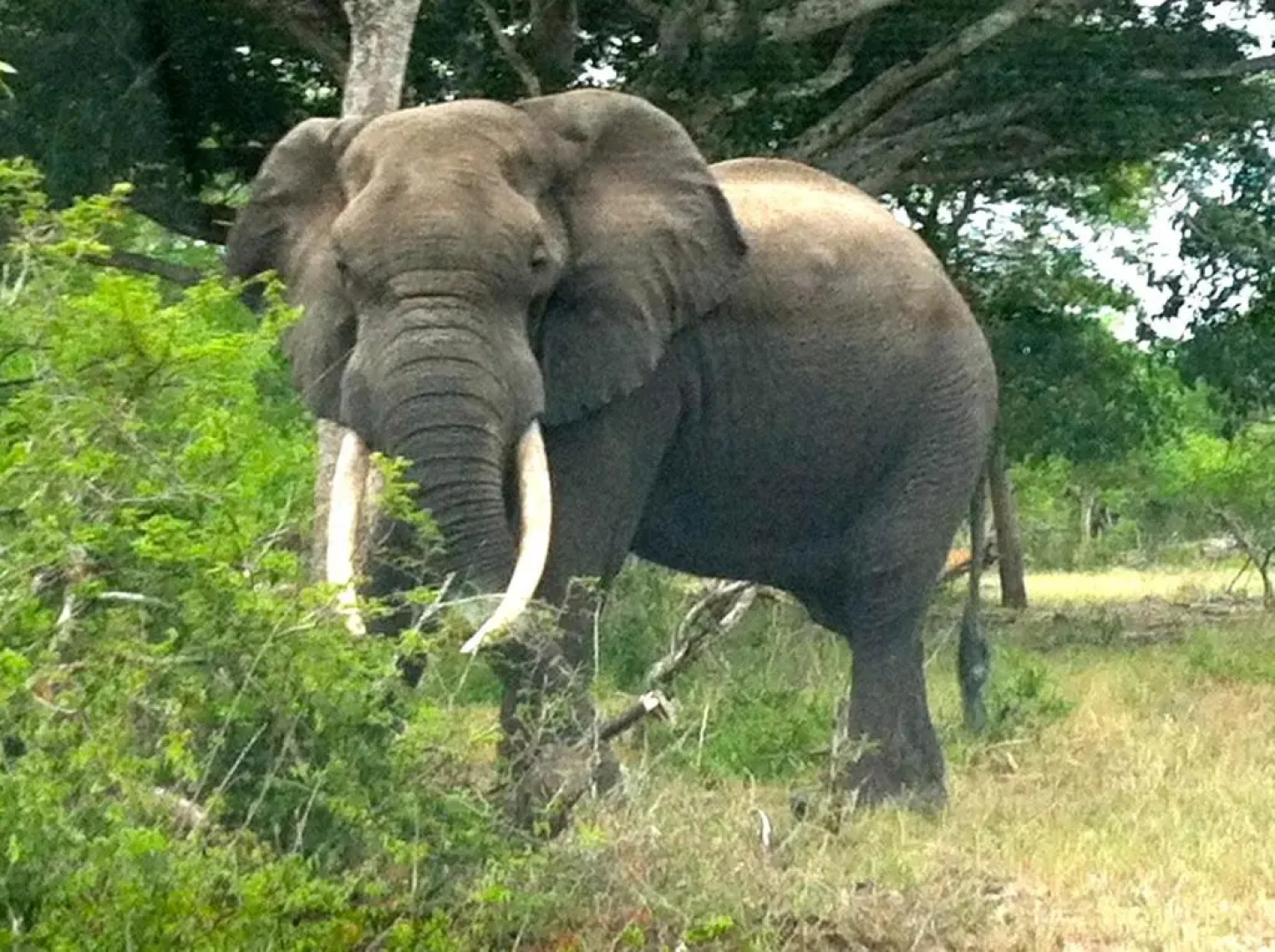 House 37 Nkululeko in Sodwana Bay Lodge with boat locker