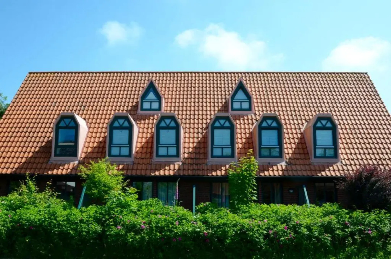 Fh Austernfischer I/Nr. 1