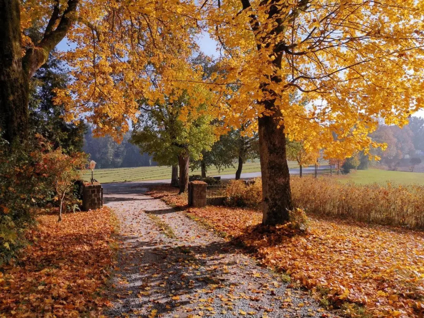 Gästehaus Gut Frauendorf