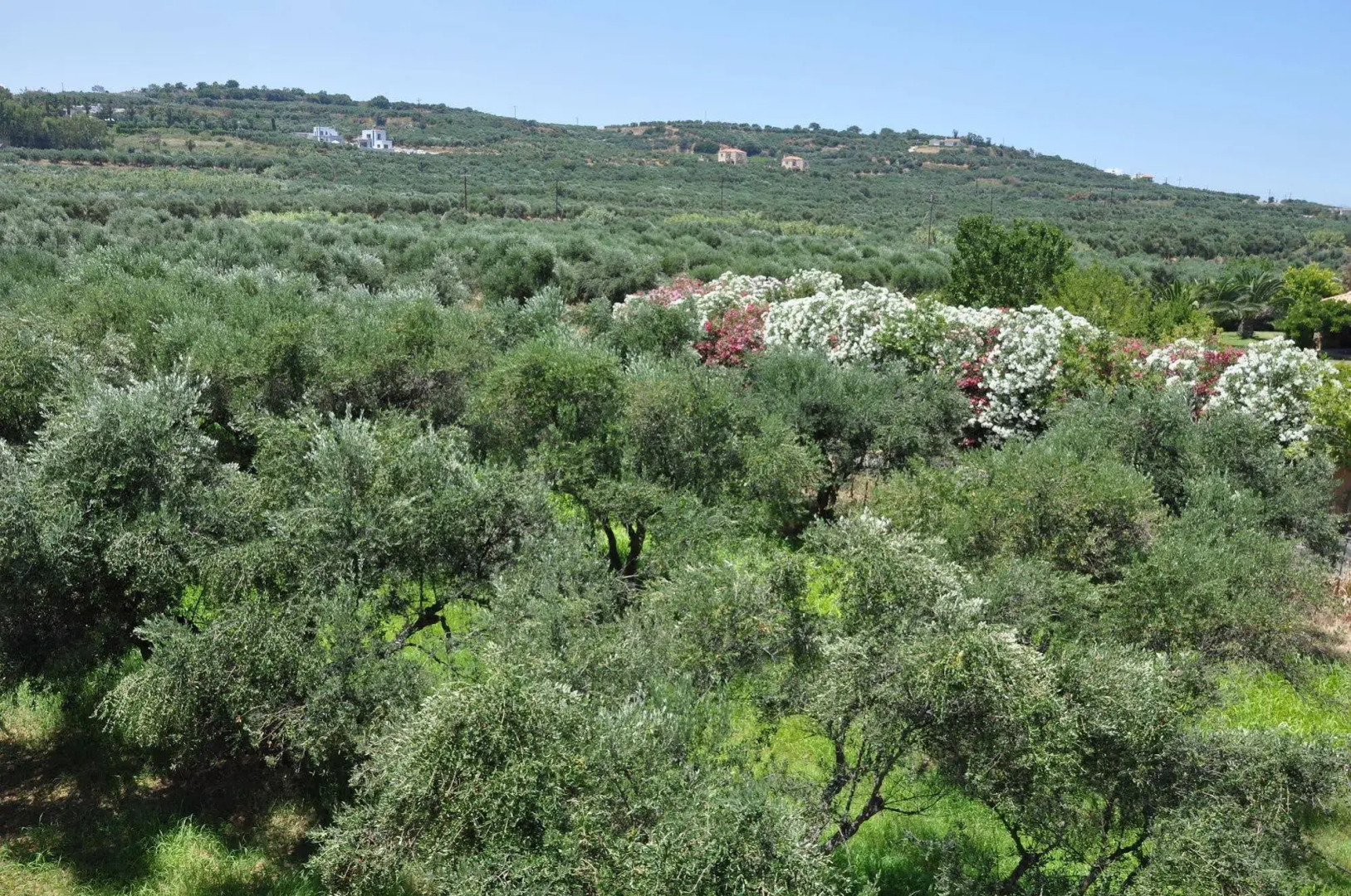 Eria Resort Accessible Holidays for Disabled Travelers