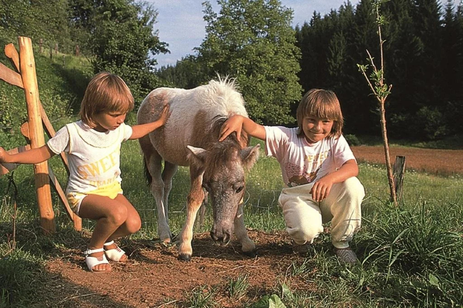Familienhotel Karnischer Hof