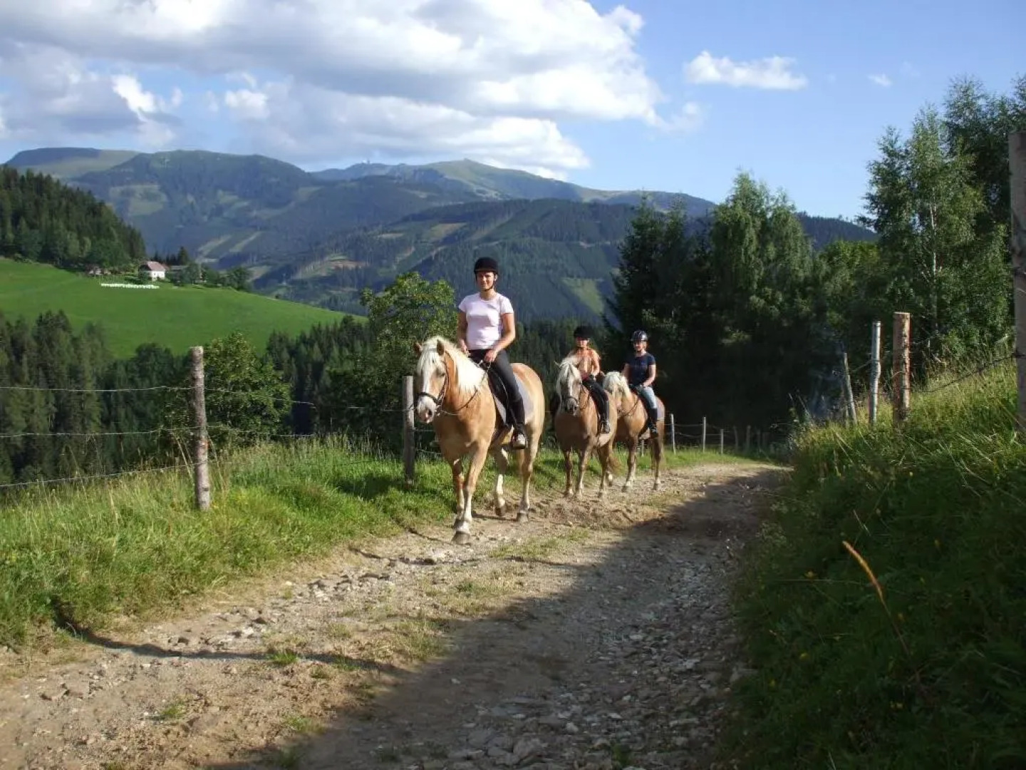 Bauernhof Pension Juri