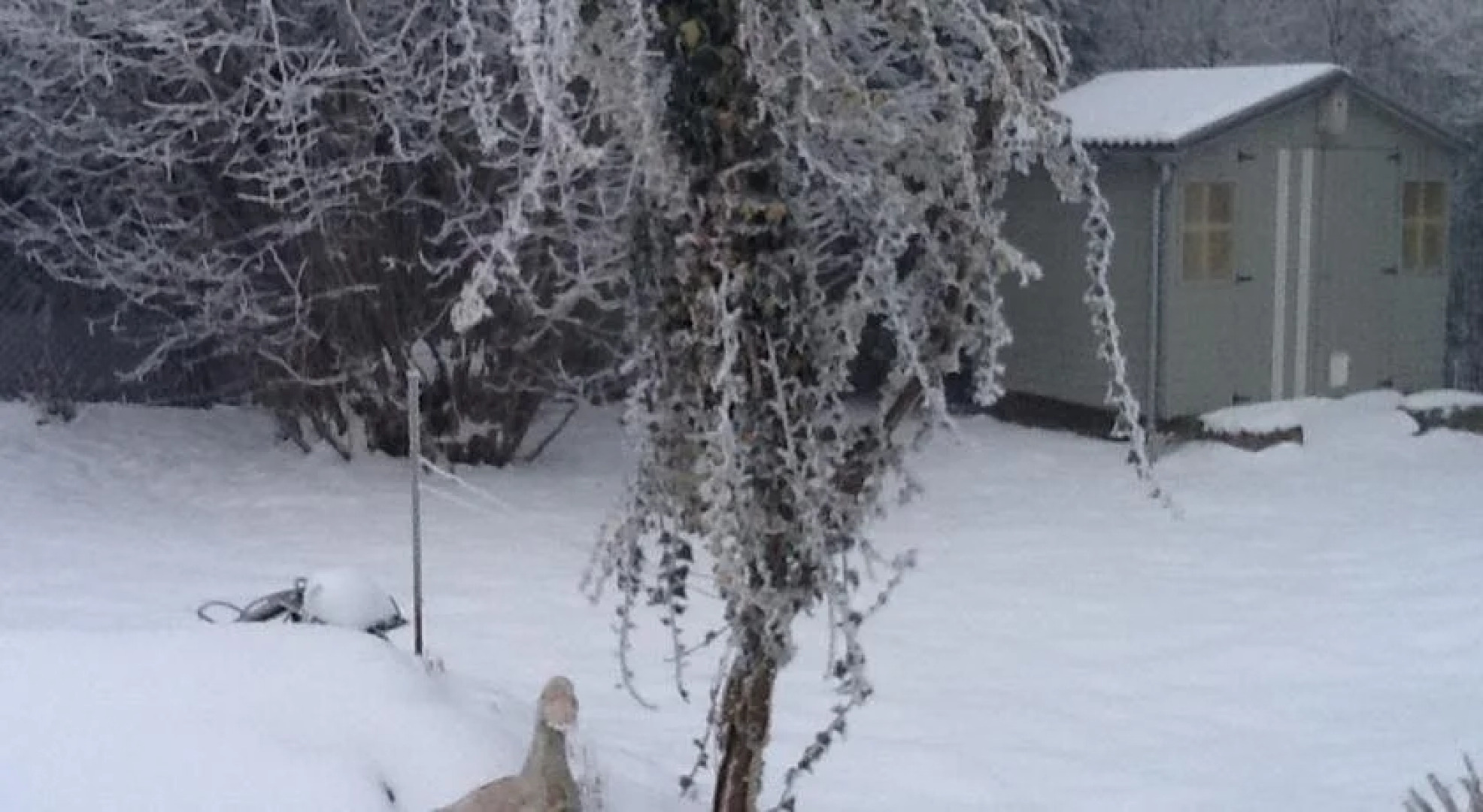 Guest house Champlenoy