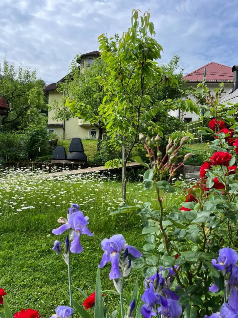 Riverside Villa Avo - Apartment AVO