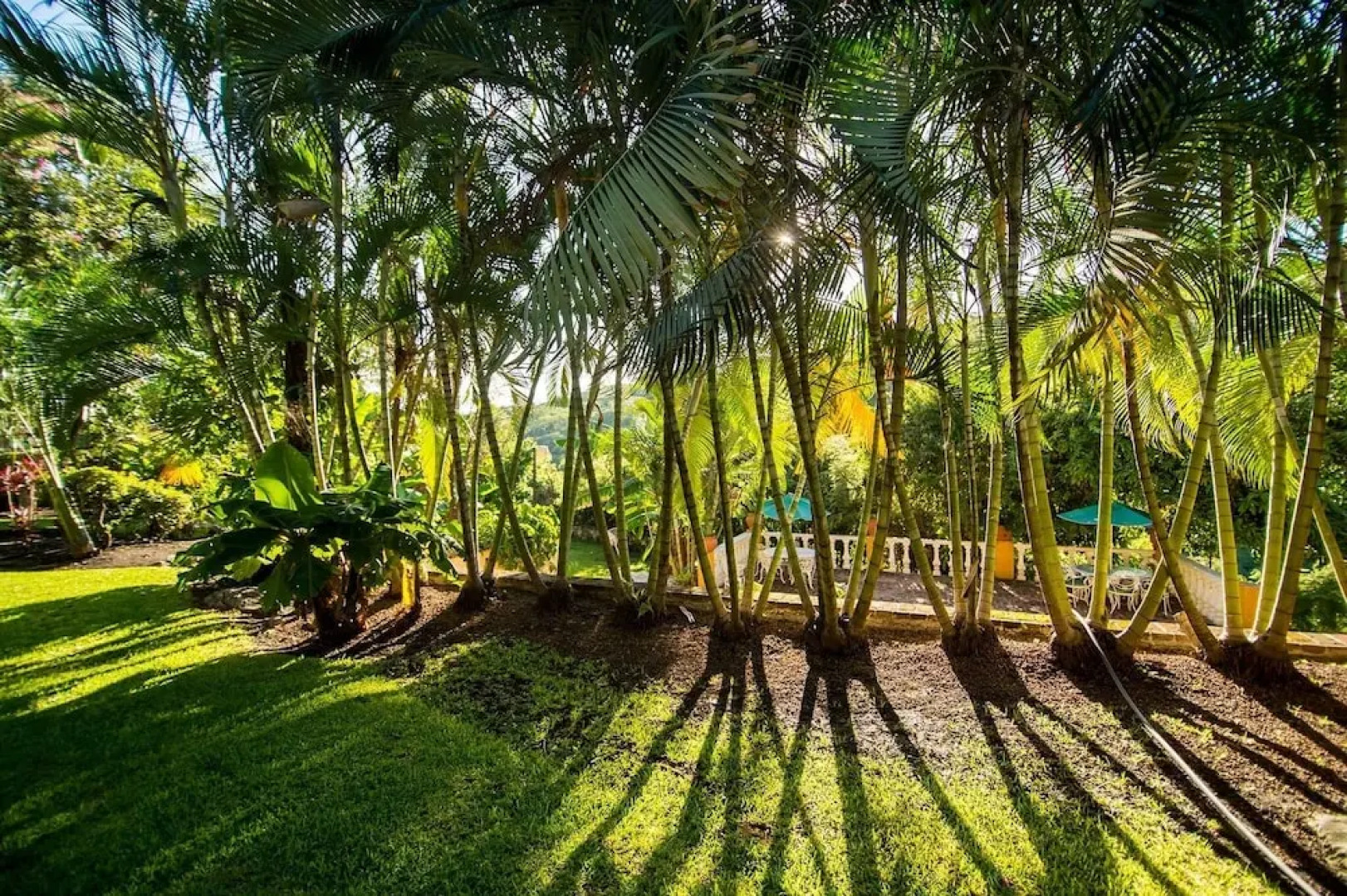 Quinta San Antonio, Xochitepec Ideal for 16 Pax