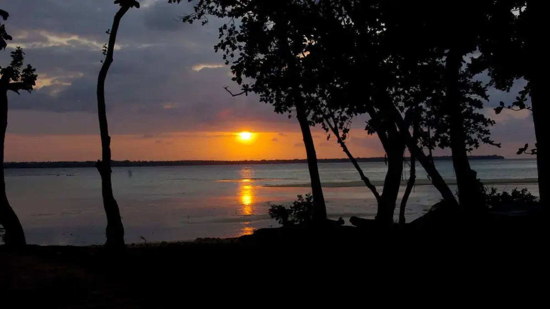 Tides Reach Beach House