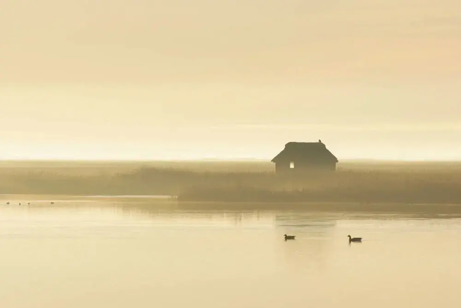 Thy Event og Naturcenter