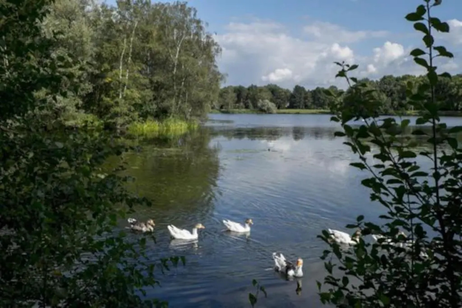 Front room in Villa with priv. entry/garden at TUe