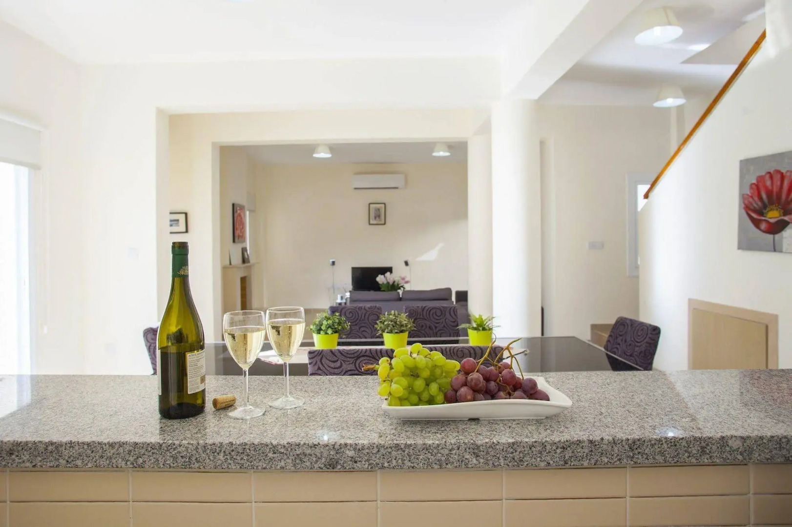 Protaras Delfini Villas