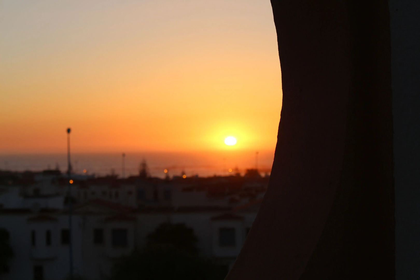 L'Arganier Solitaire