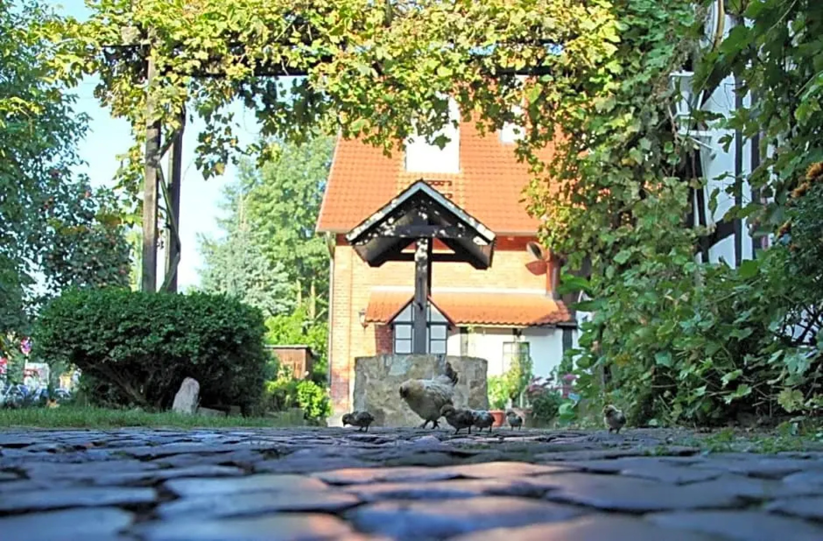 Hotel Café am Stift