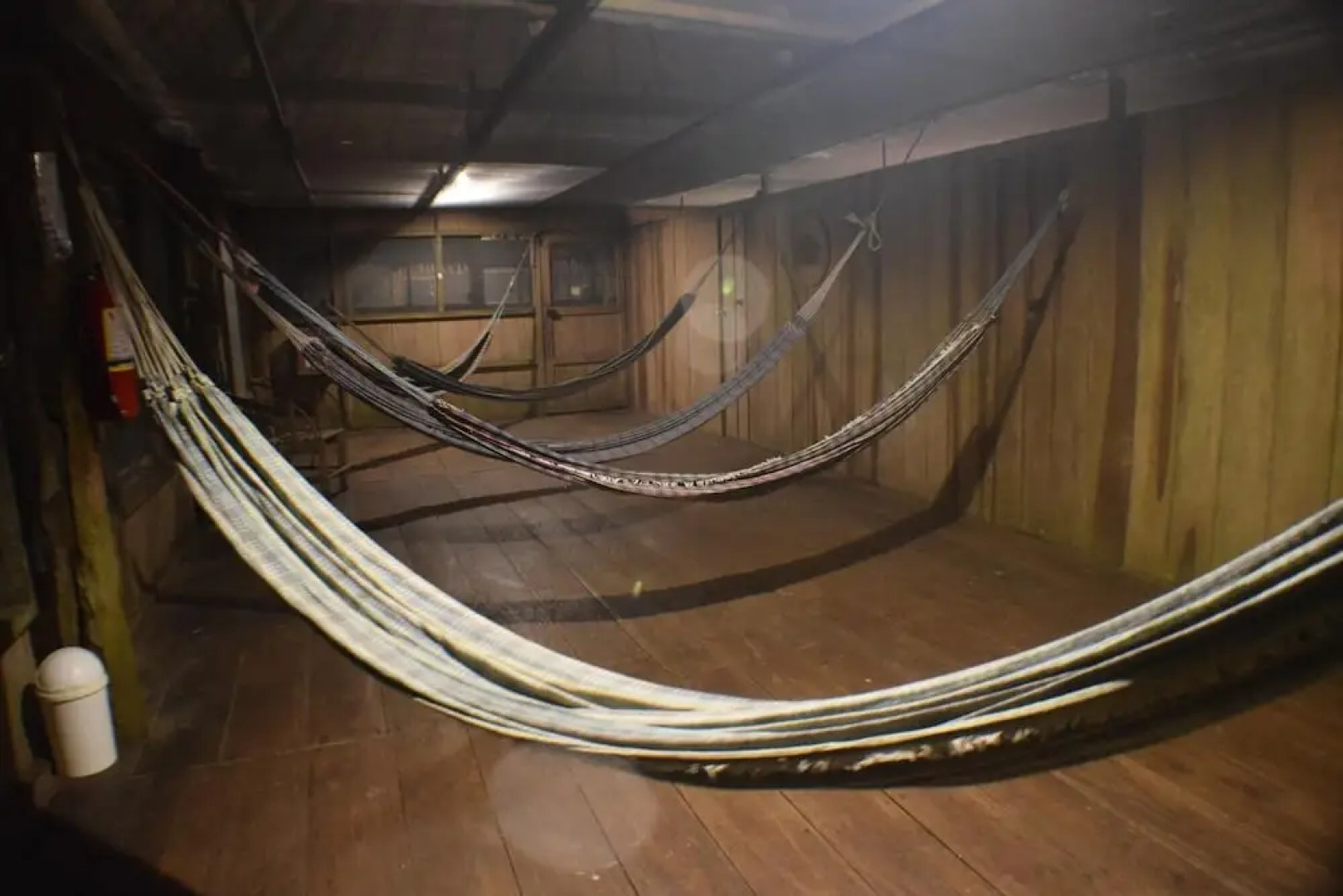 Jungle Wolf Expeditions