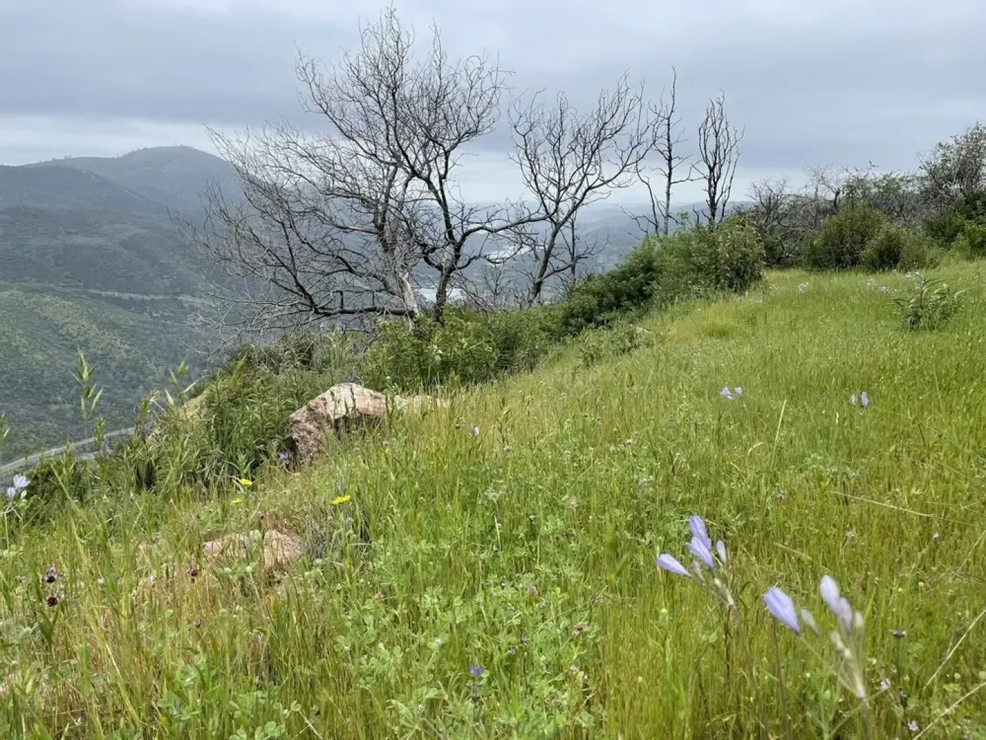 Priest Ranch - Peaceful Home With Pool 3 Bedroom Home