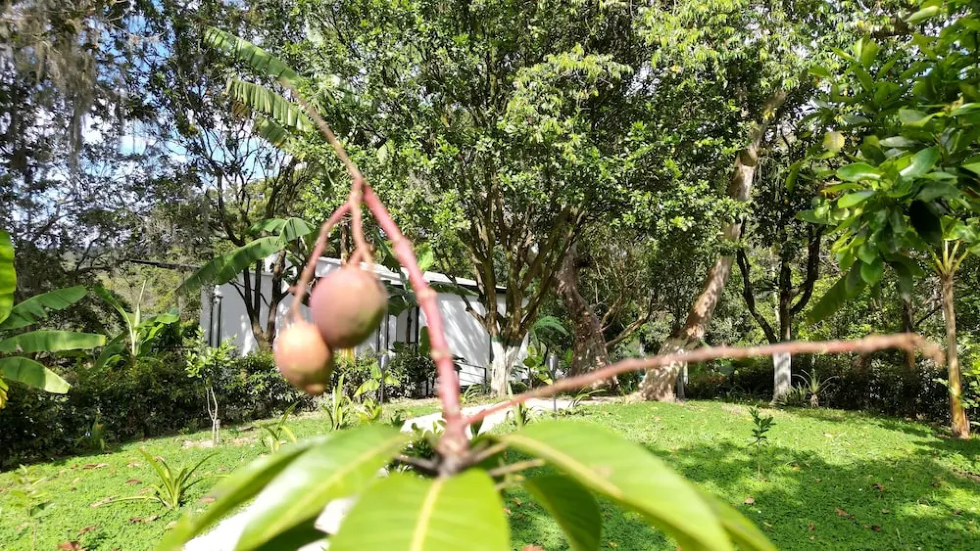 Guadalajara Glamping