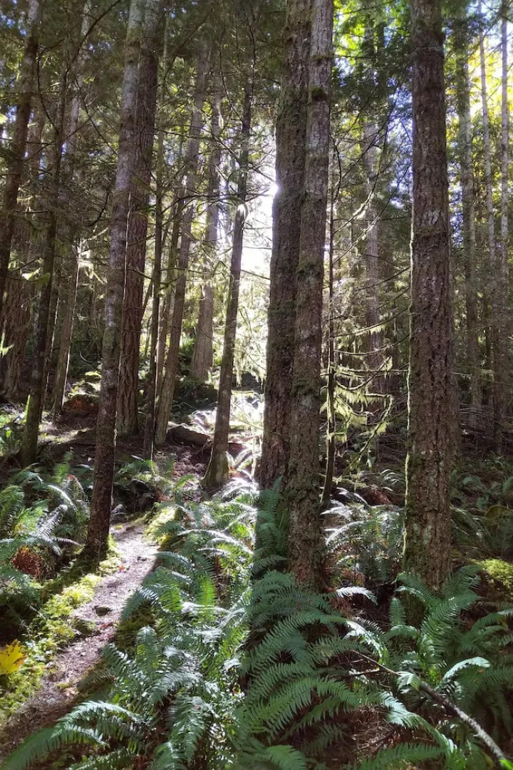 The Cabin at Moon Dance