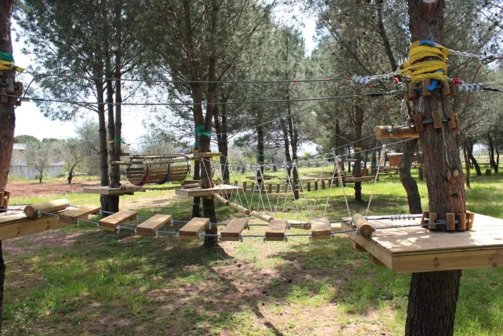 Il Praedio Della Reale