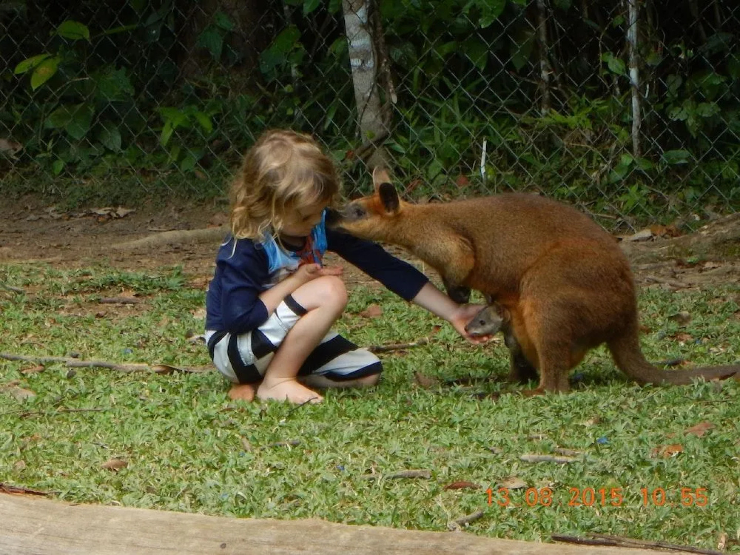 Lync Haven Rainforest Retreat