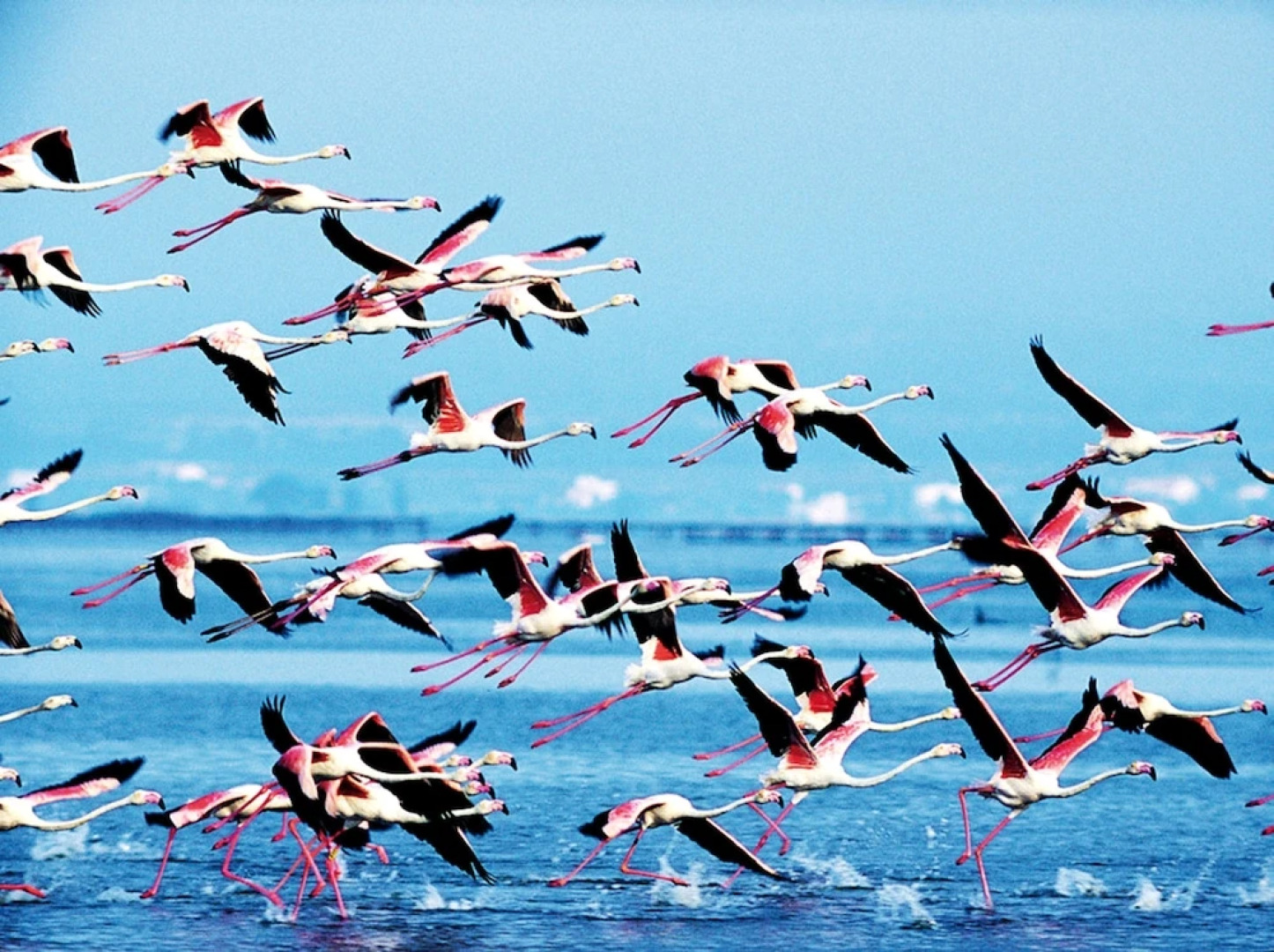 Mi Apartamento en el Delta del Ebro+