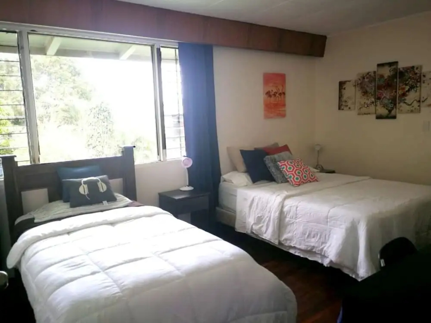 Casa Jardin del Mango