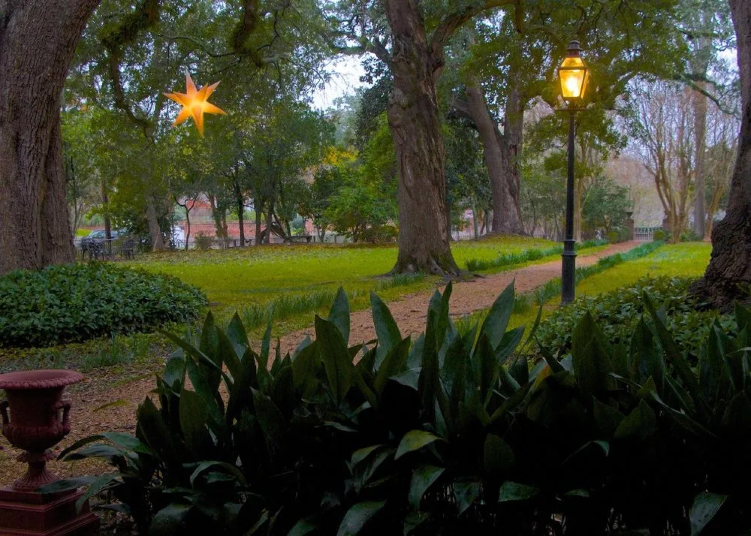 The Elms Bed and Breakfast