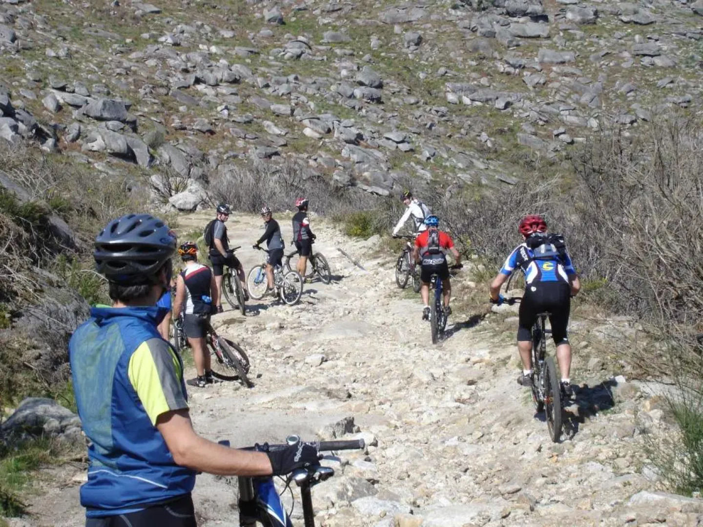 Alltominho – Villas Summer Holidays