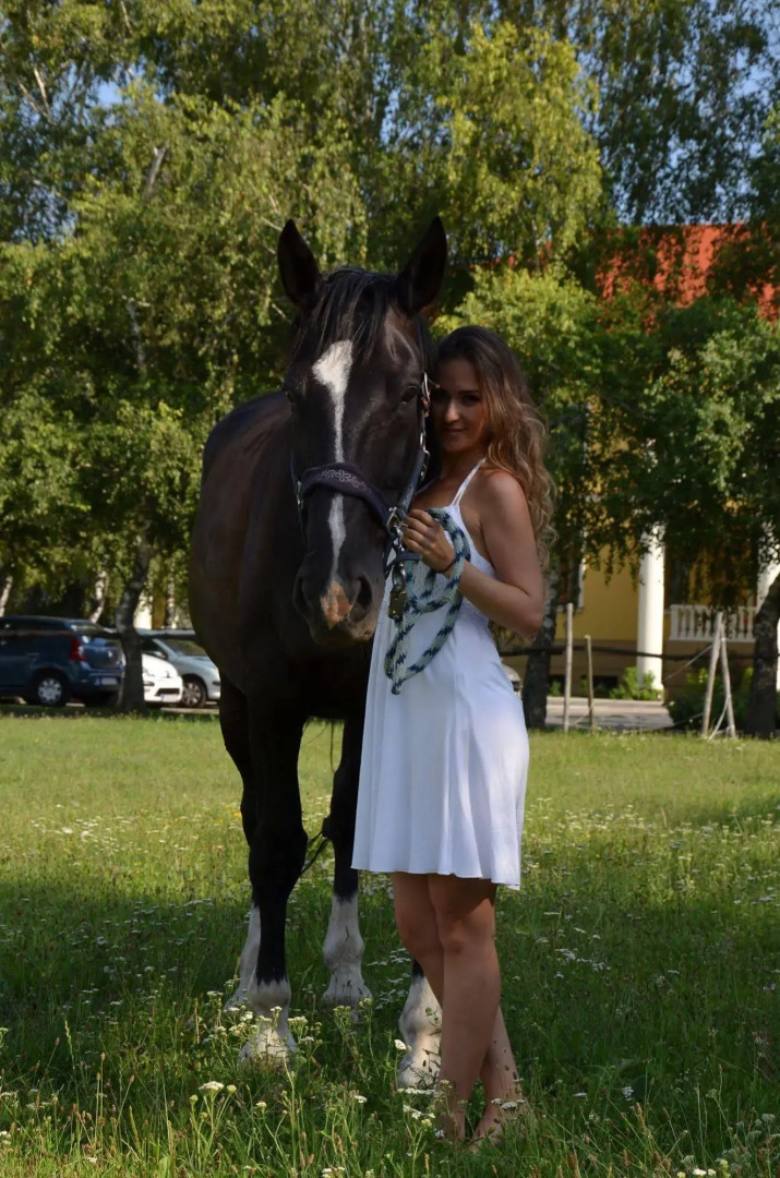 Hotel Plauter Kúria