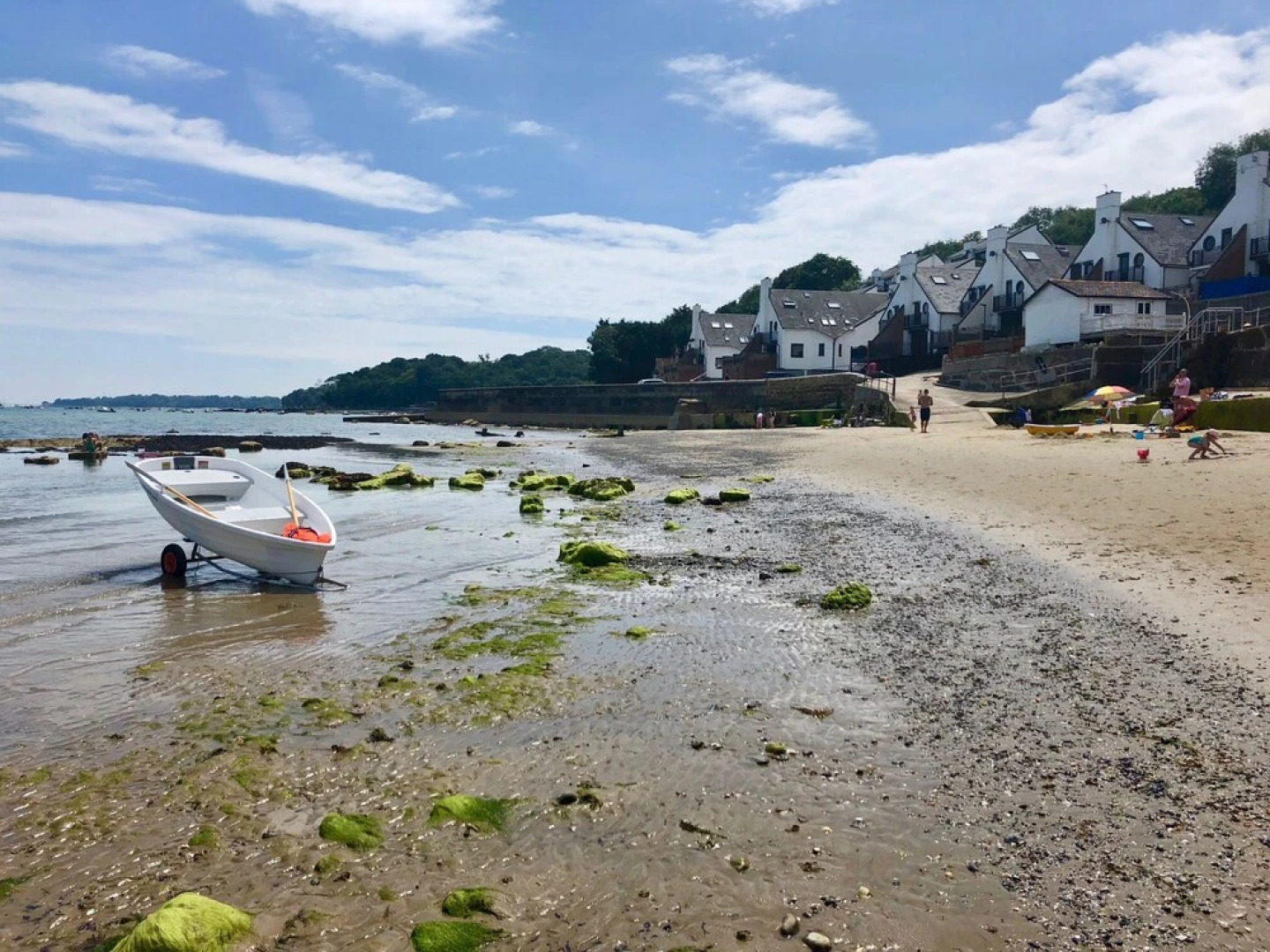 The Seashells - Seaview