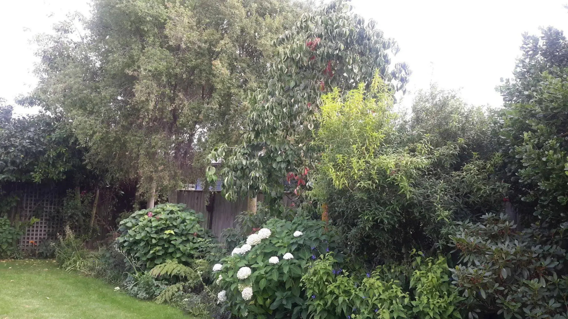 Jade Owl Bed and Breakfast