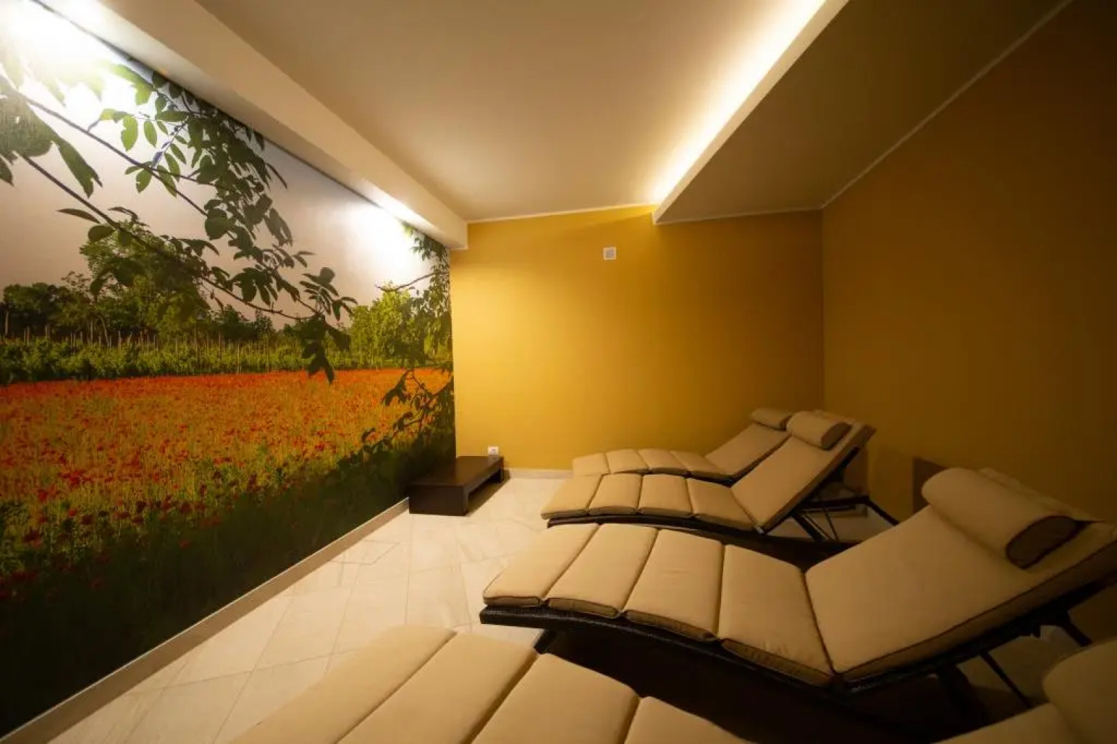 Wine Hotel San Giacomo Activity & Wellness