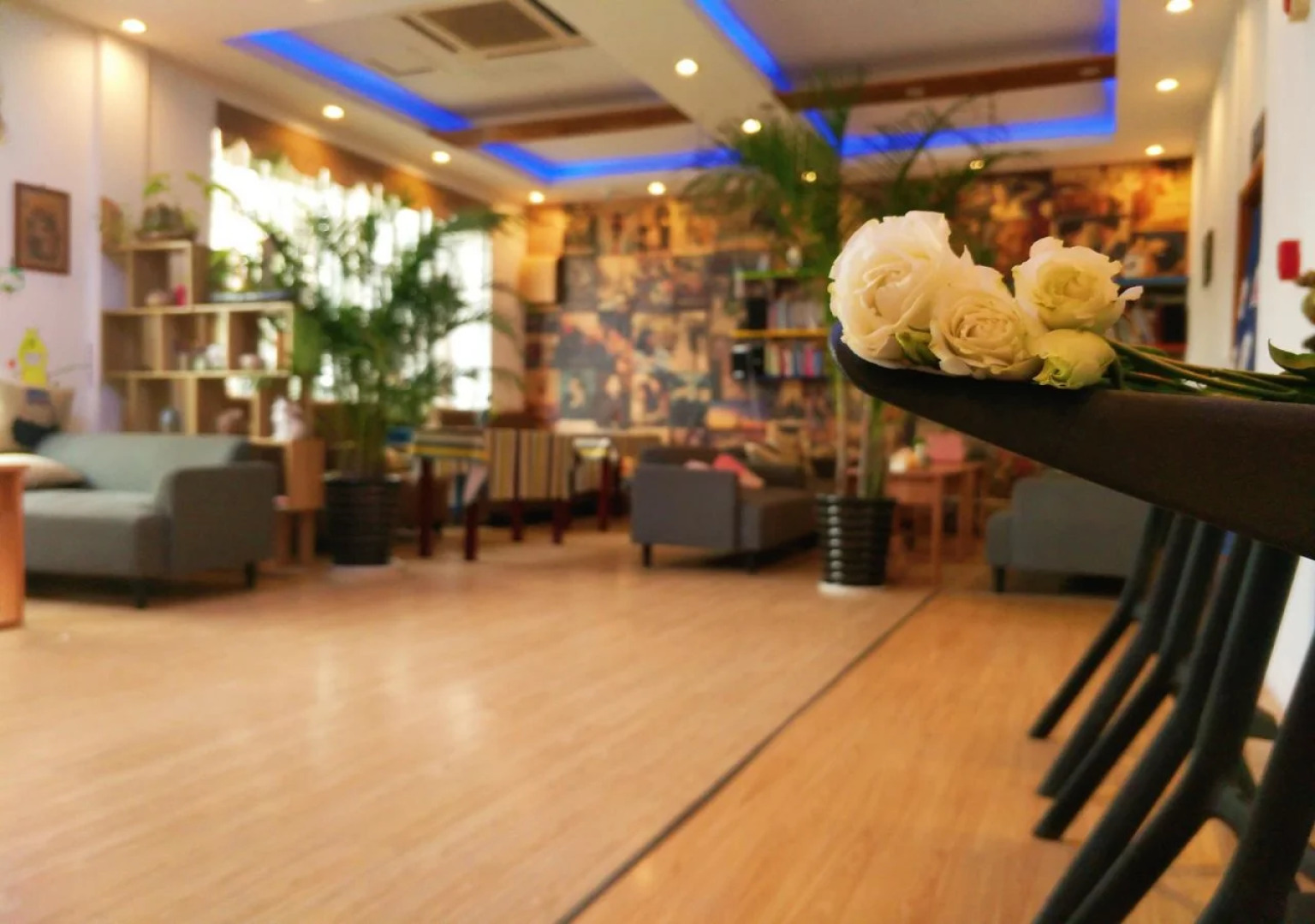 Cather Of The Light Youth Hostel