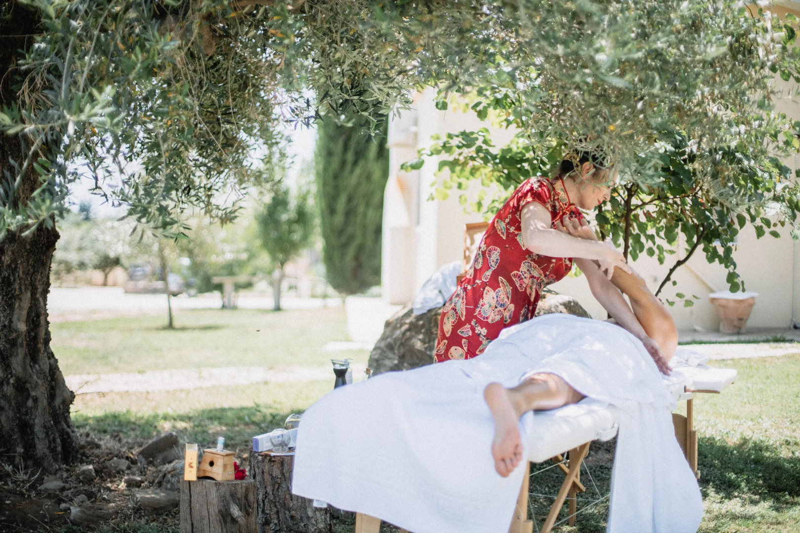 Socrates Organic Village - Wild Olive