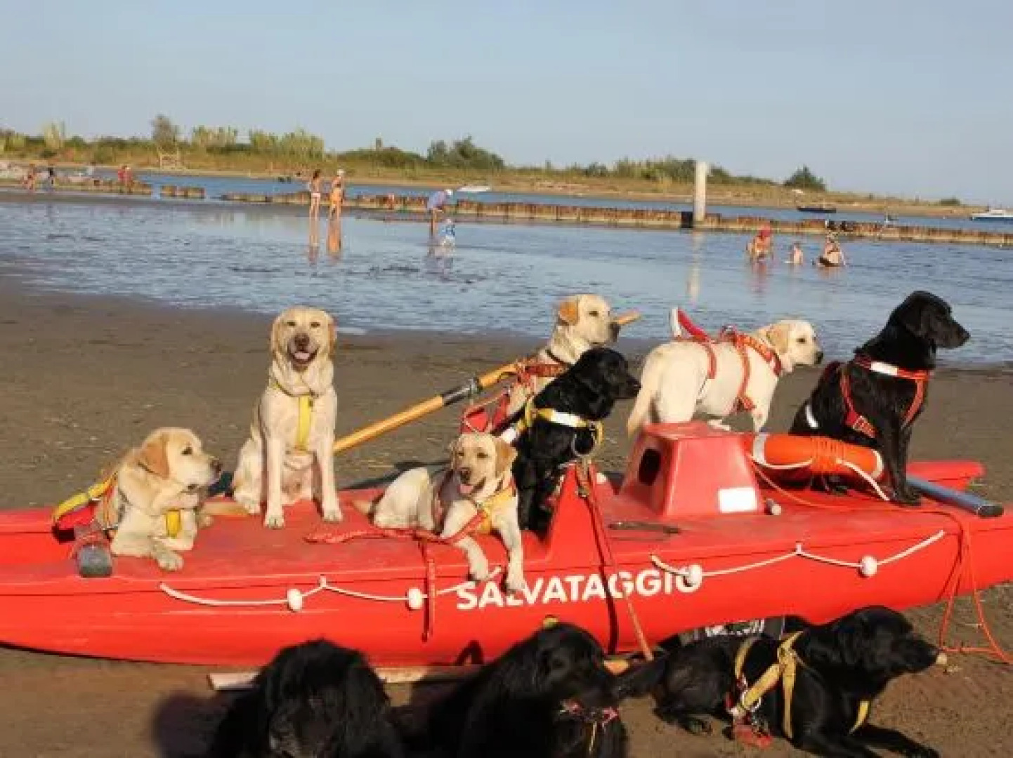 Appartamento Frontemare Azzurra