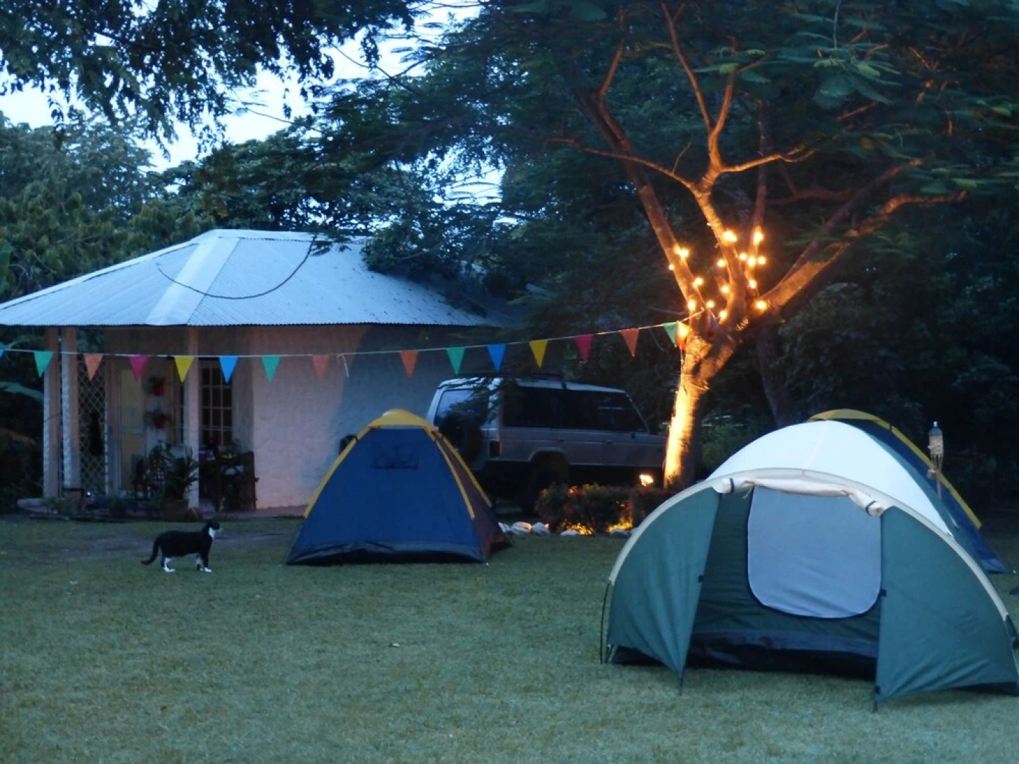 Cabañas Las Mandarinas