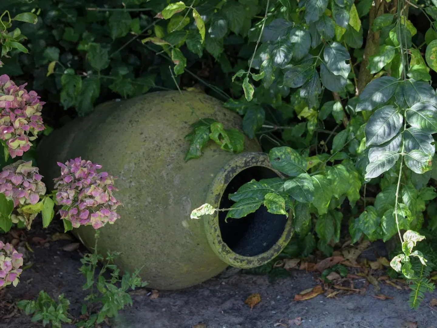 Serene Holiday Home in Noordwijk With Terrace