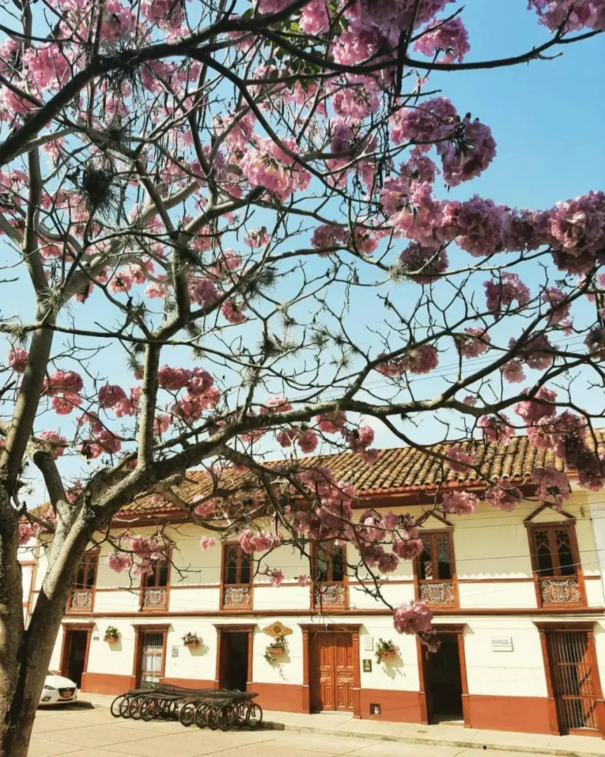 Sindamanoy Centro de Bienestar