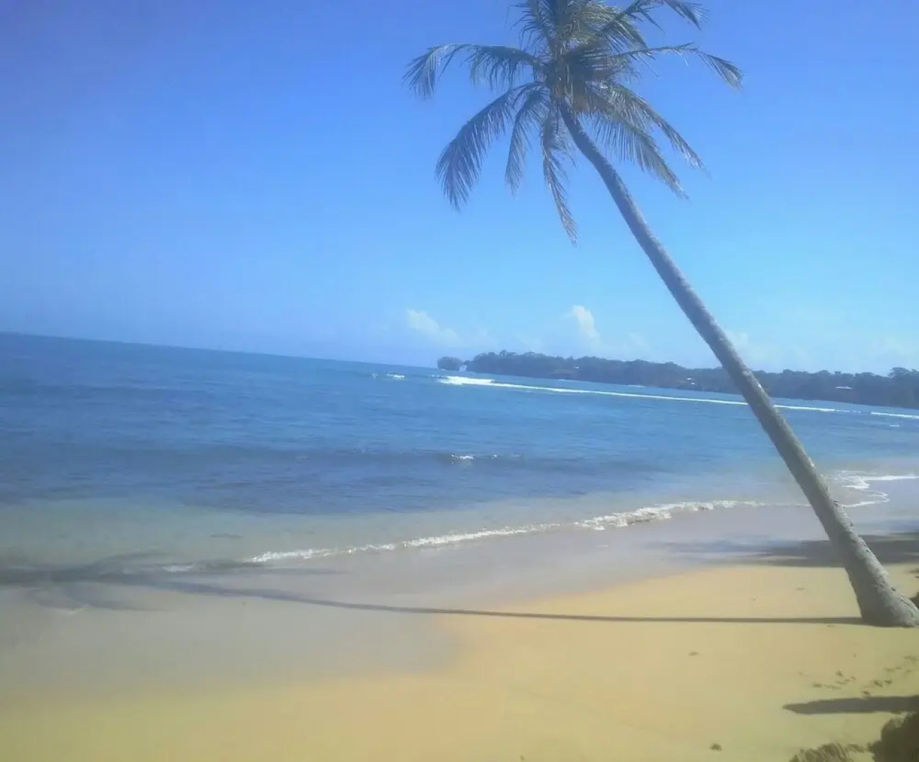 Bastimentos Caribean Hotel