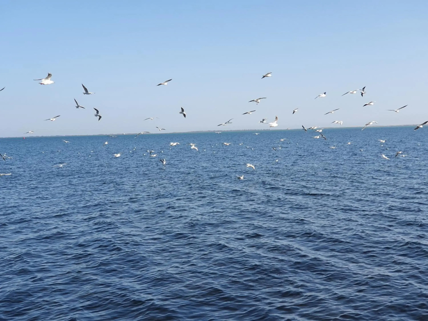 APARTMENT AYOUB -for families only-