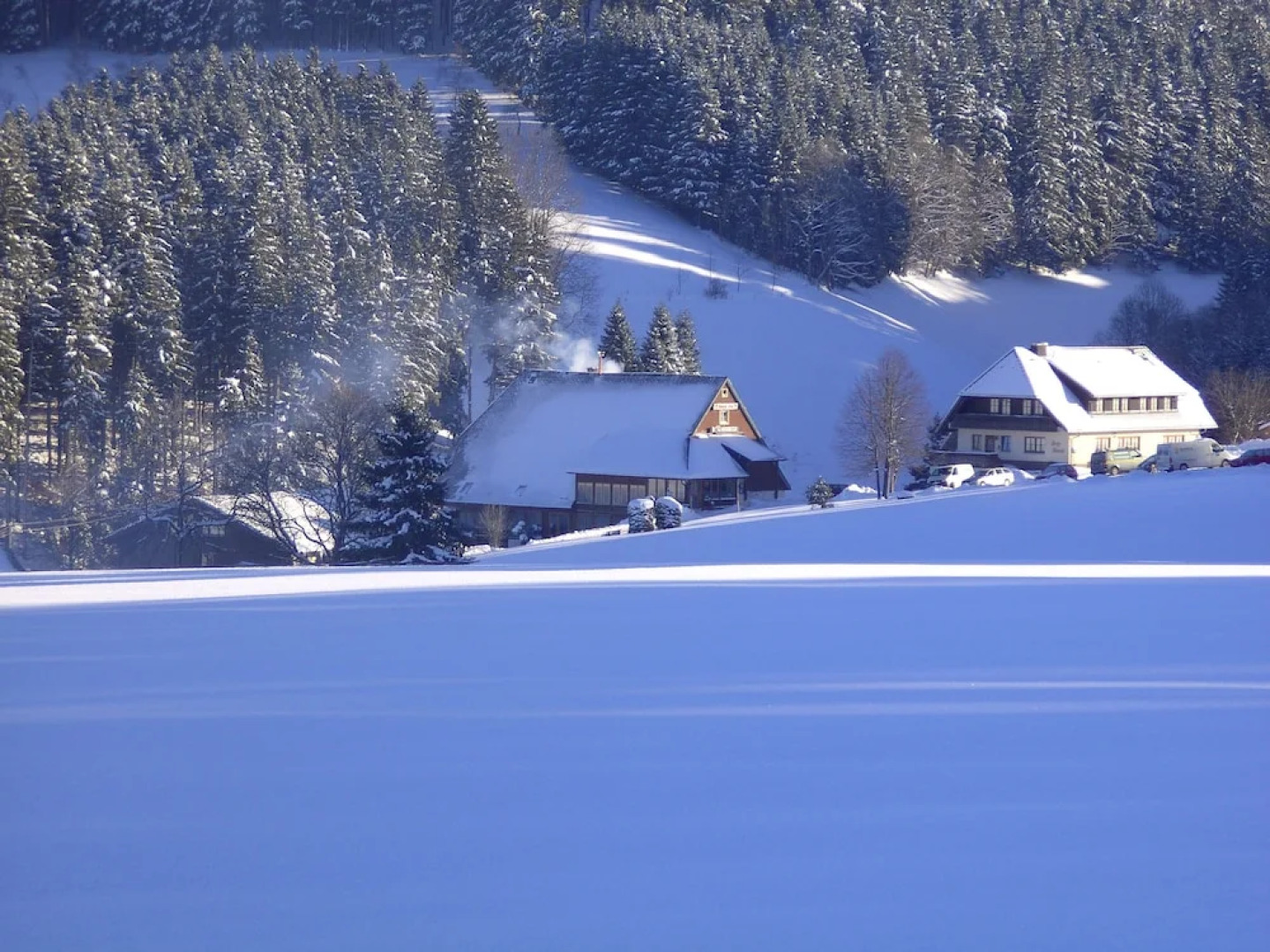 Landhotel Thälerhäusle Ochsen