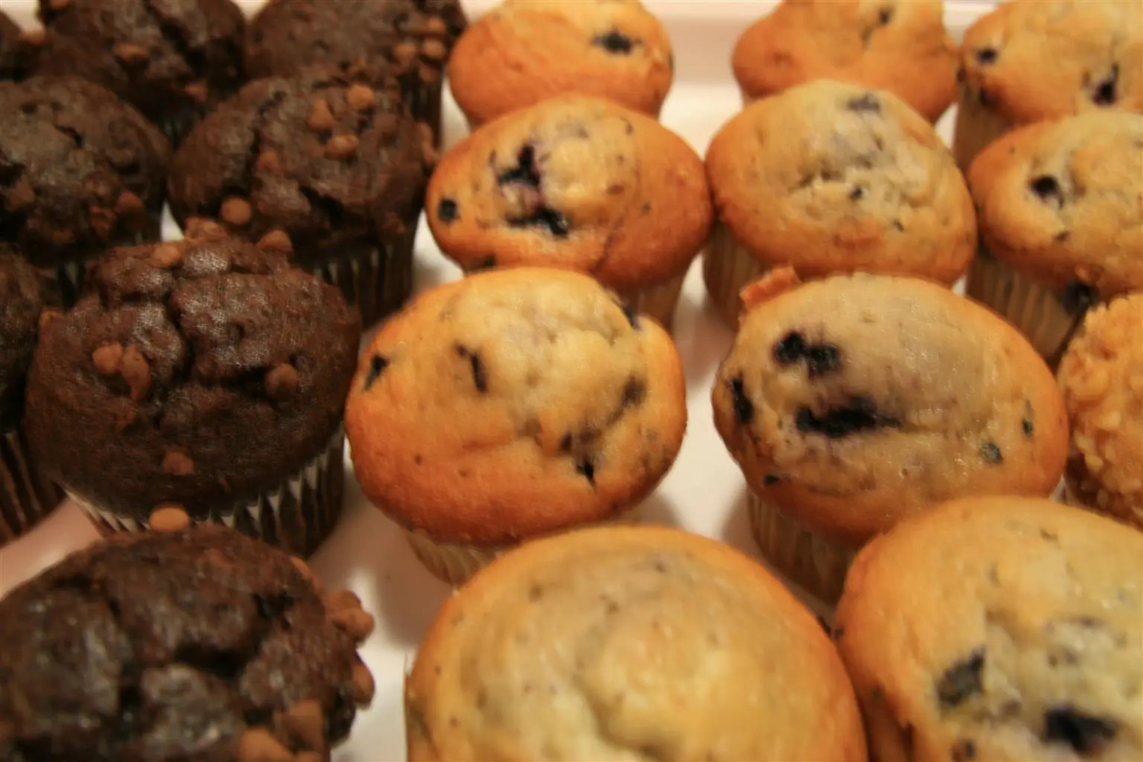 Best Western Desert Inn