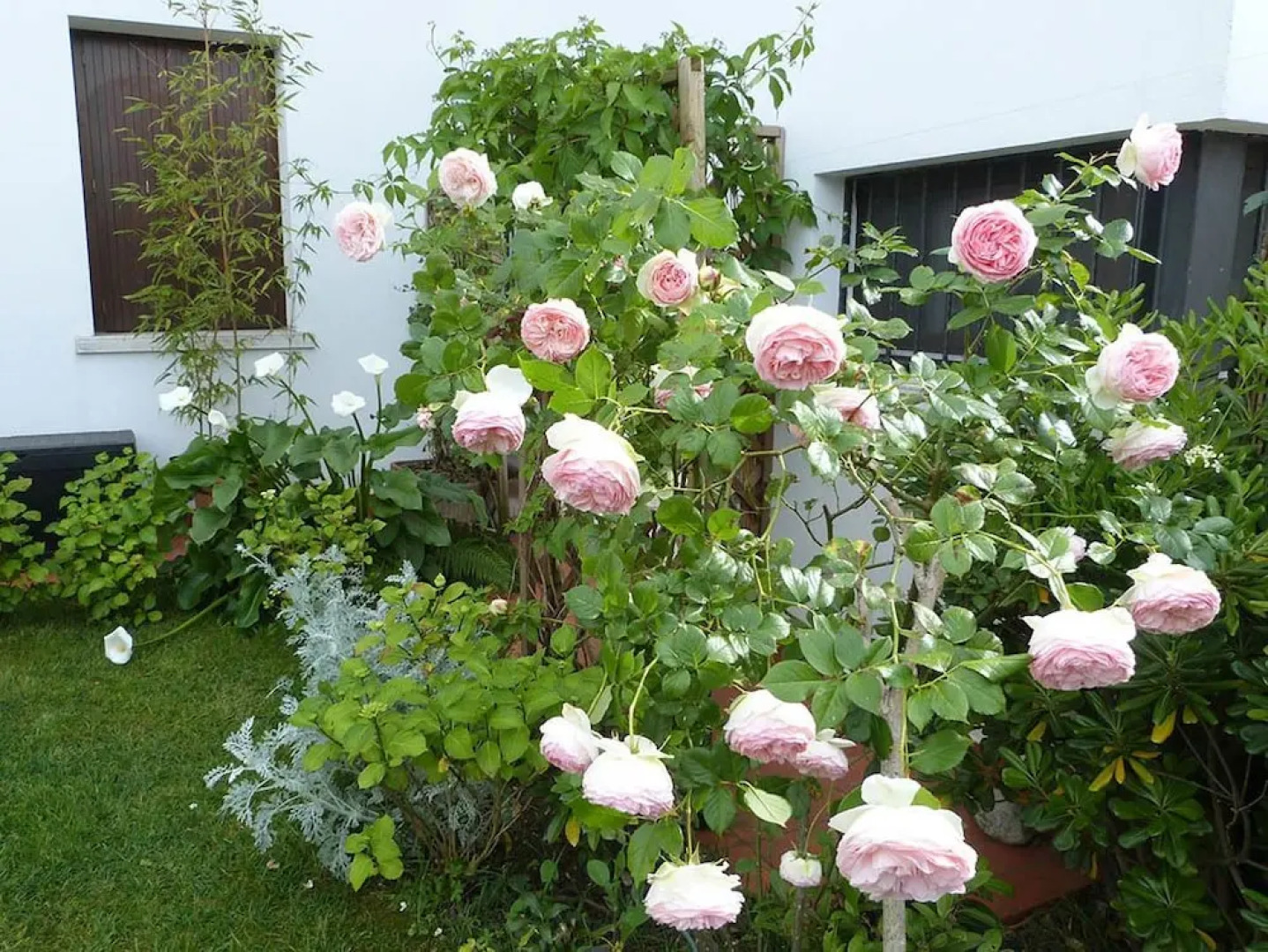 B&B Nautilus on Garda Lake