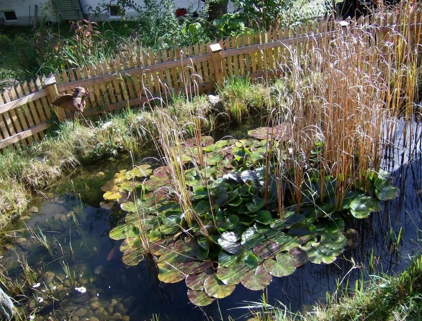 Ferienhaus Schneiderbauer