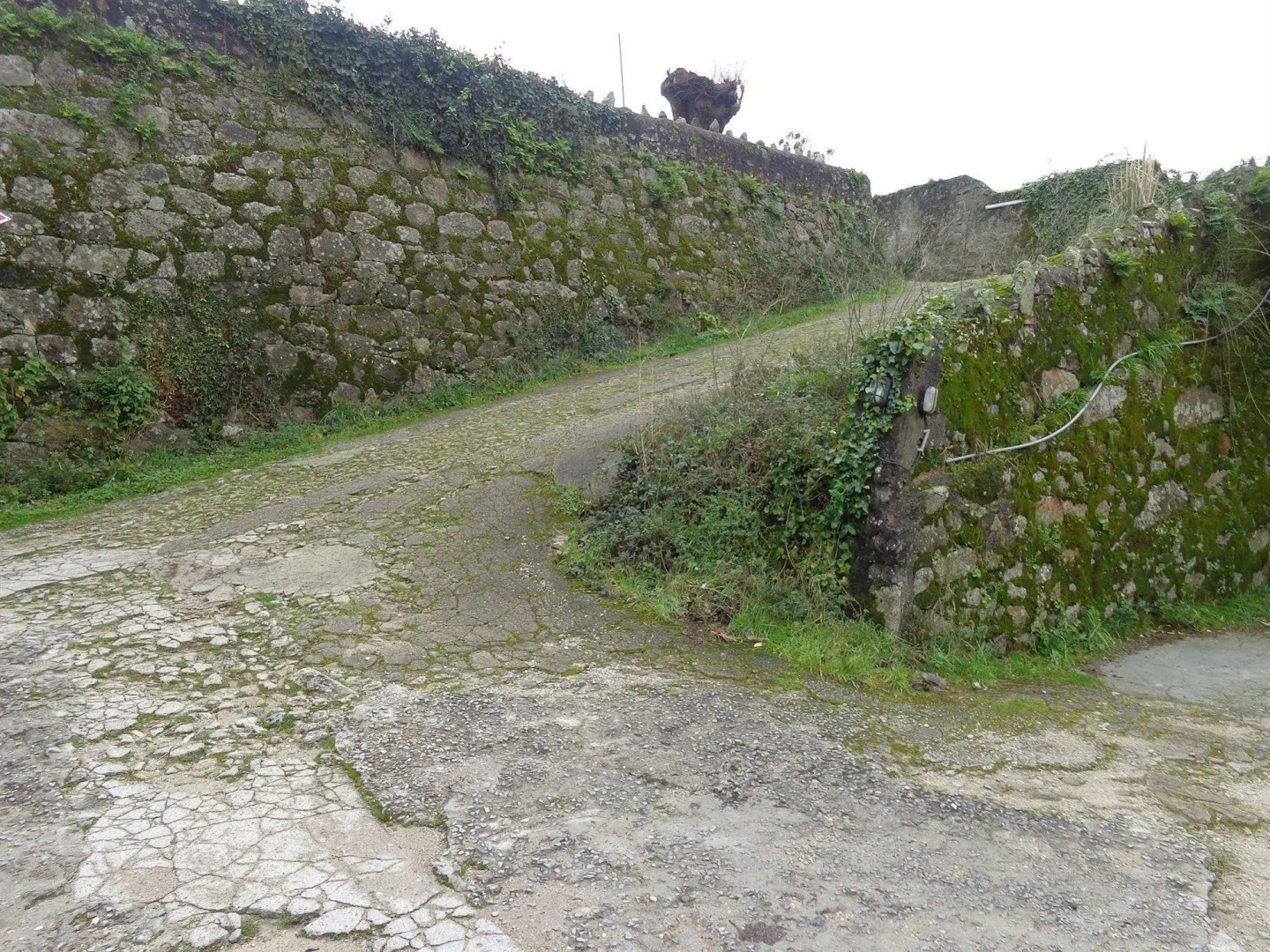 Residencial Bela Star