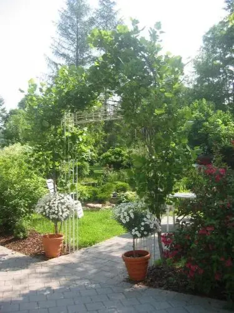 Schloss Sennfeld