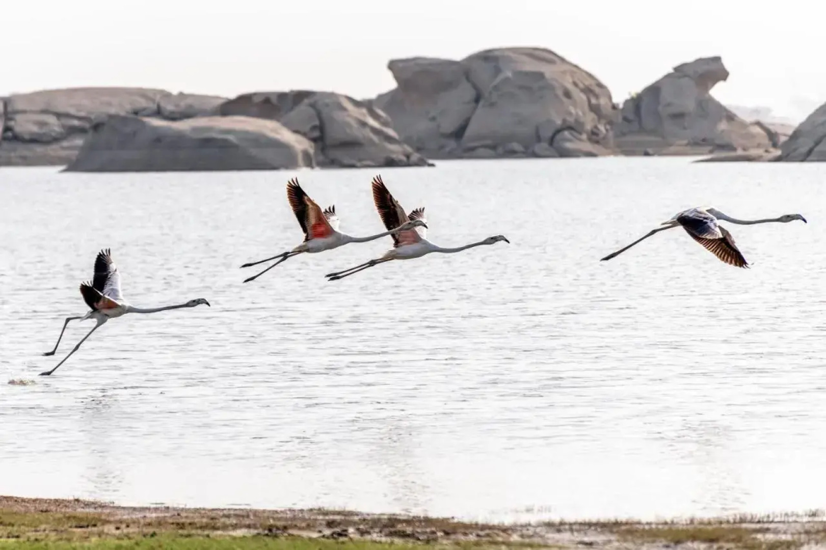 Lords Eco Inn Jawai-Sumerpur