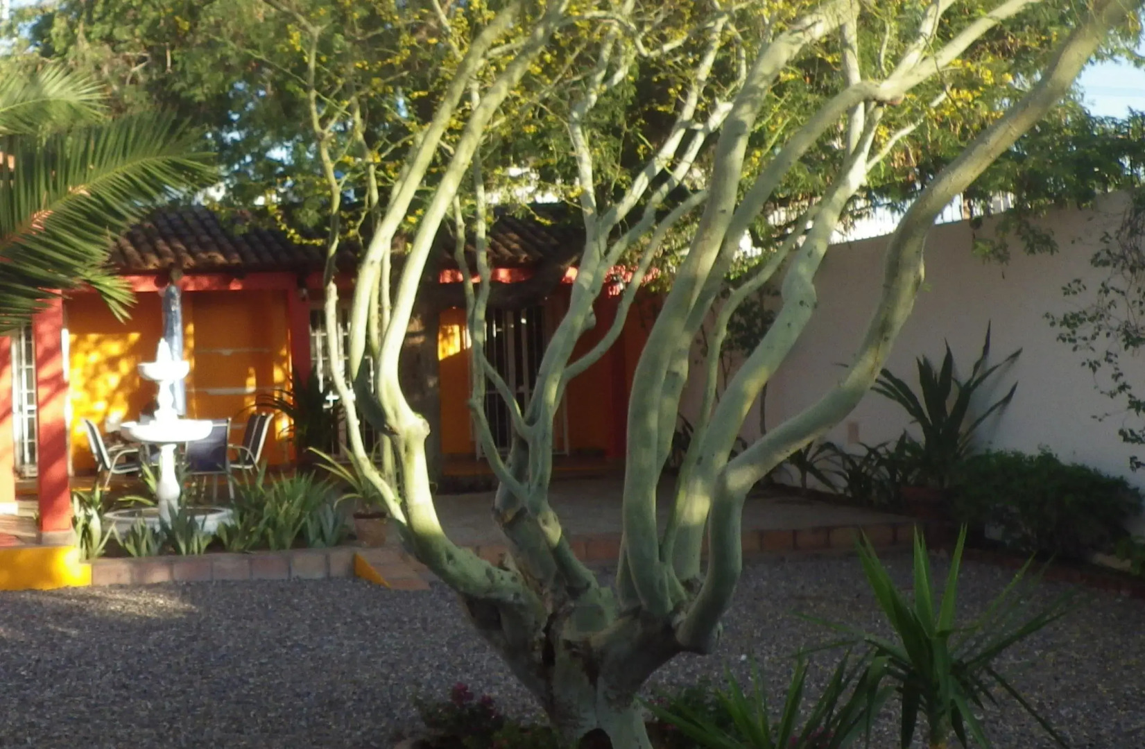 Central Bed & Breakfast