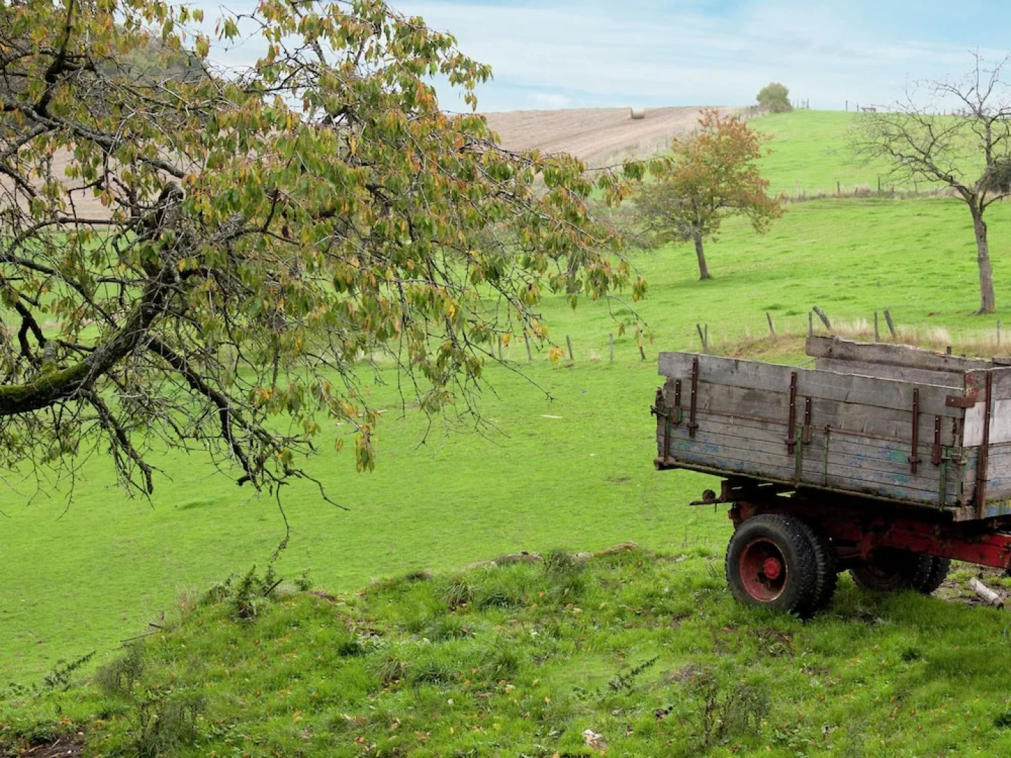 Quaint Apartment in Zella-mehlis With Garden
