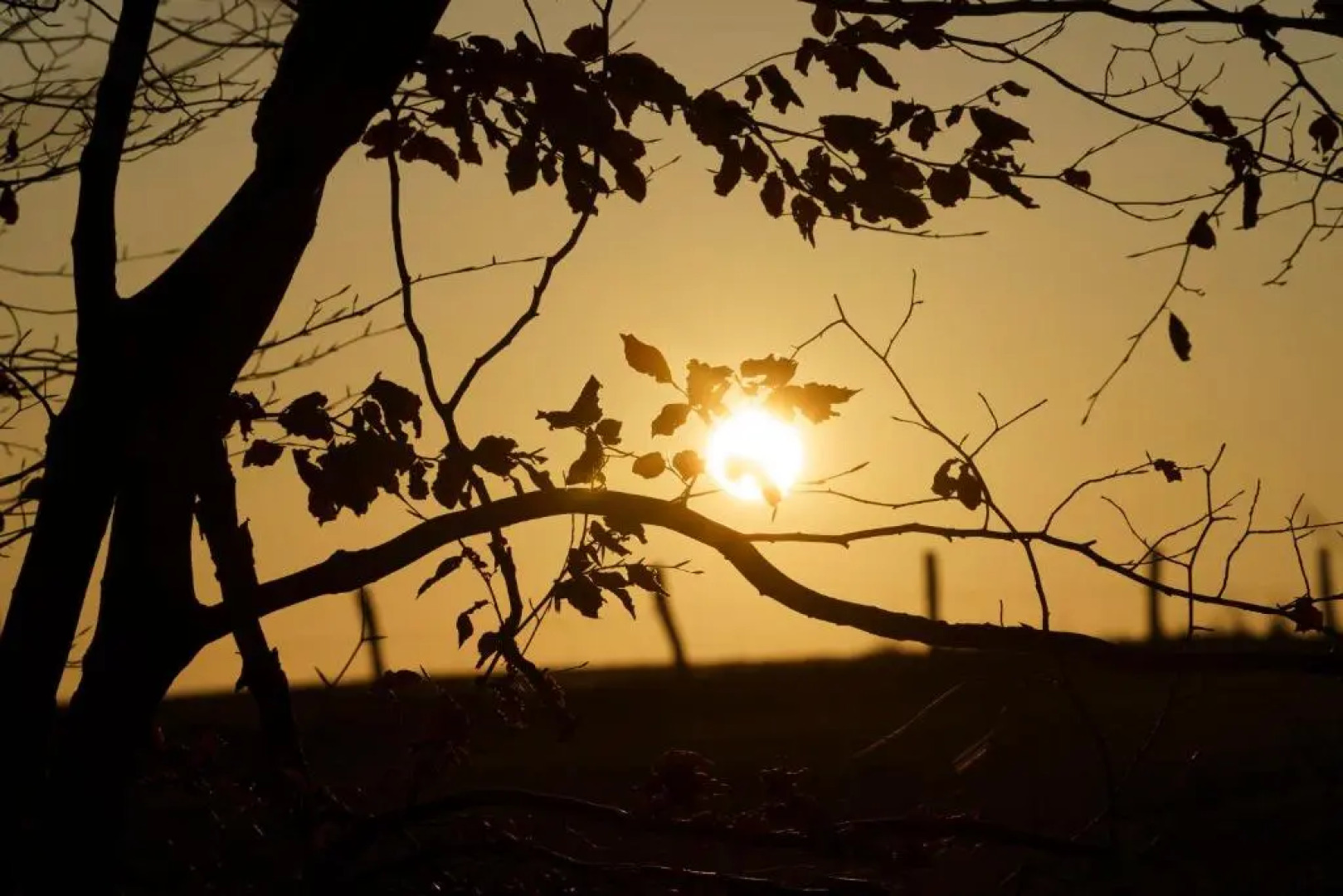 Ardenne Essentielle (Adults Only)