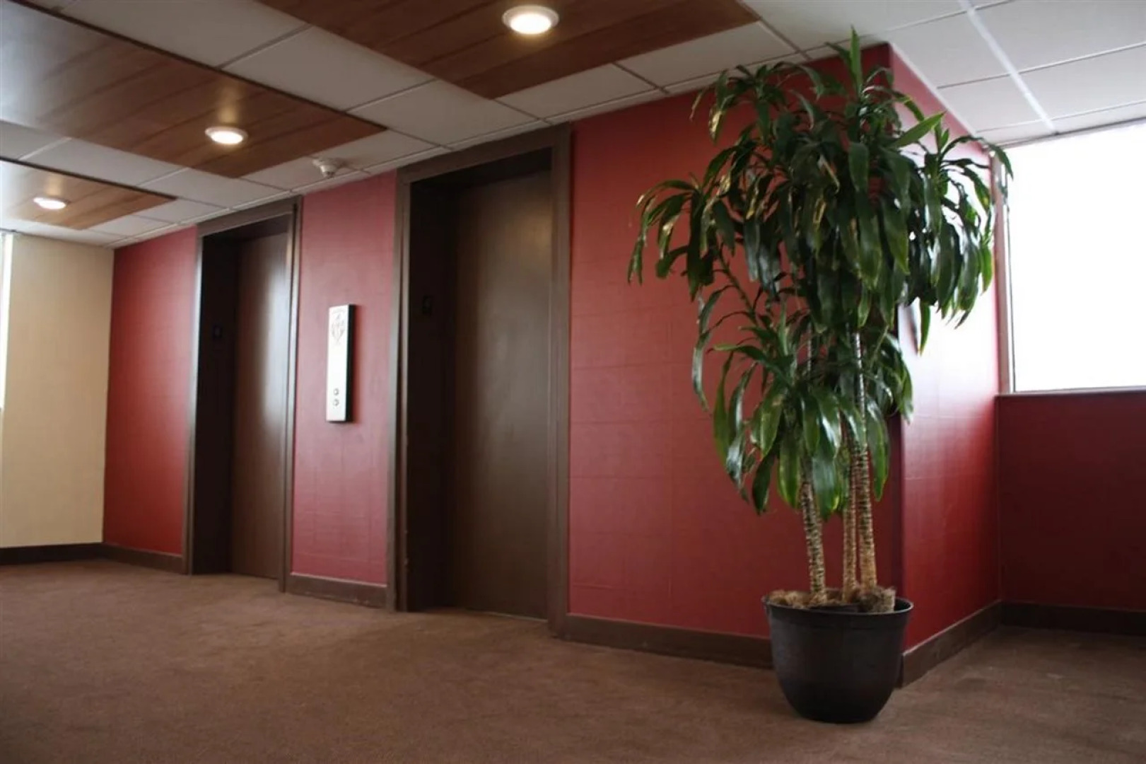 Four Points by Sheraton Chicago O'Hare Airport